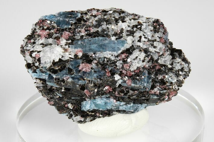 Blue Kyanite & Garnet in Biotite-Quartz Schist - Russia #178944